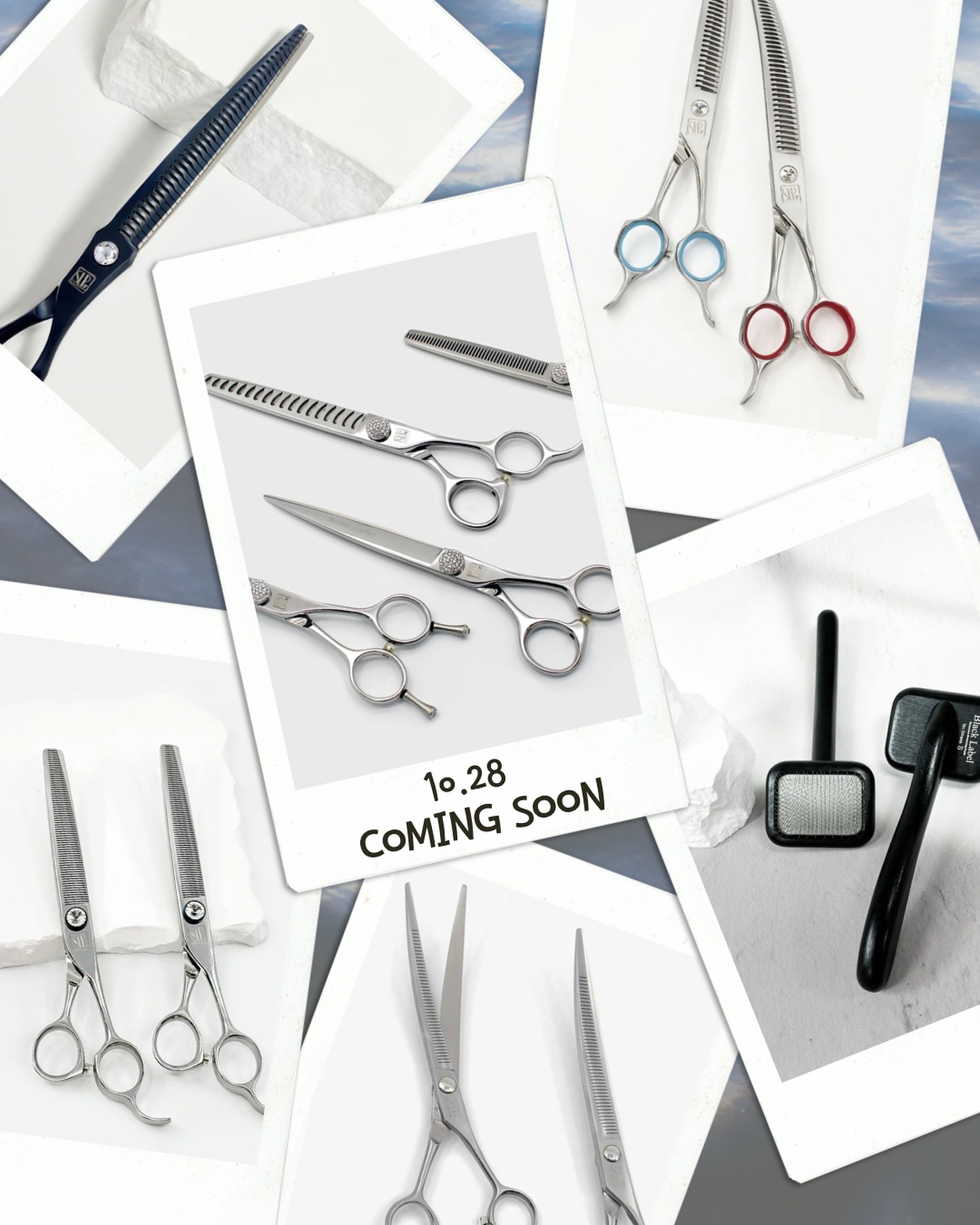 【10/28入荷㊗️】
.
こんにちは、SilverLineJapanです✂︎
10/28(火)に商品入荷を予定しております✨
.
消しゴム手品第5世代や
前回入荷時即完売のスリムカーブ※等
多数商品入荷いたします✂️
楽しみにお待ちくださいませ🐶
※ゴールド6.5インチを除く
.
当日入荷が完了しましたら
ストーリーにてお知らせいたしますので
今しばらくお待ちください✨
.
入荷希望の商品等や
入荷後の連絡ご希望等ございましたら
お問い合わせフォームより
お気軽にご連絡ください📮
.
#シルバーライン #silverline #トリミングシザー #トリミング #trimming #トリマー #プードルカット #トリマーとつながりたい #トリマーの卵 #ドックサロン #dogsalon #petstylist #ふわもこ部 #ヒトリマー #ドッグサロン #ペットサロン #とりみんぐらむ #とりみんぐさろん #トリミングサロン
