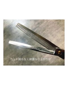 投稿一覧 - Silver Line Japan 